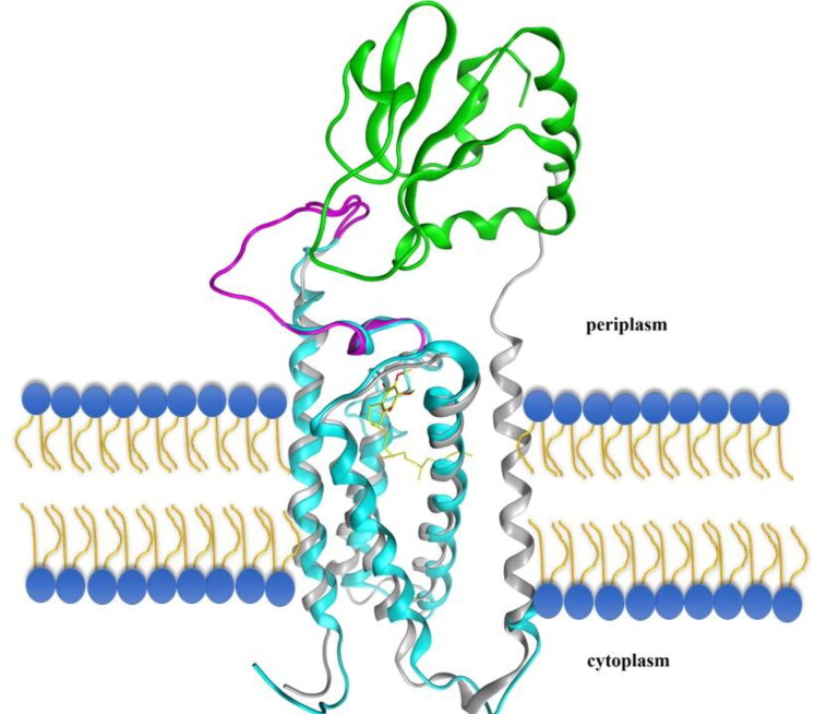 Figure 2.