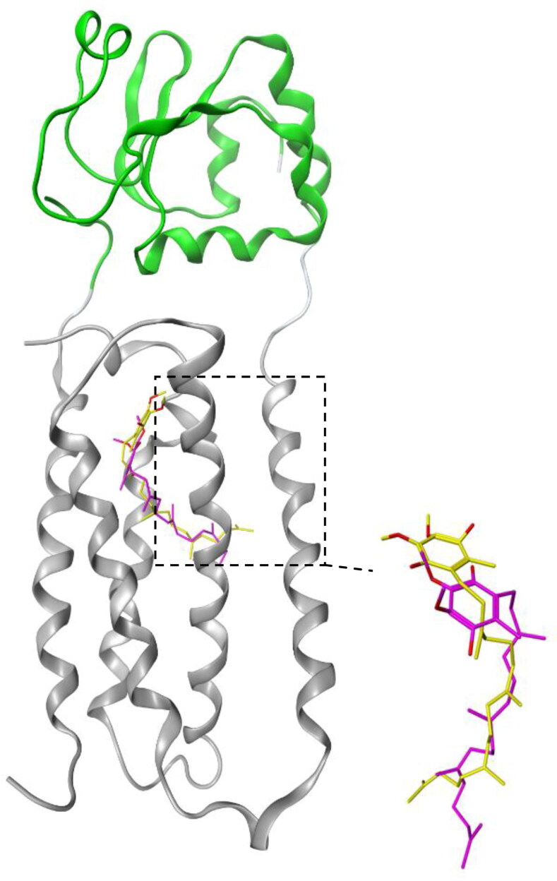 Figure 3.