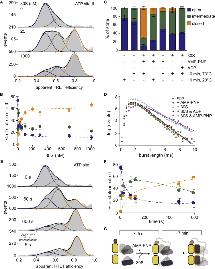 Figure 4