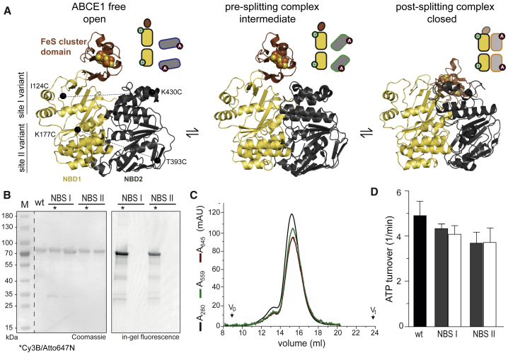 Figure 1