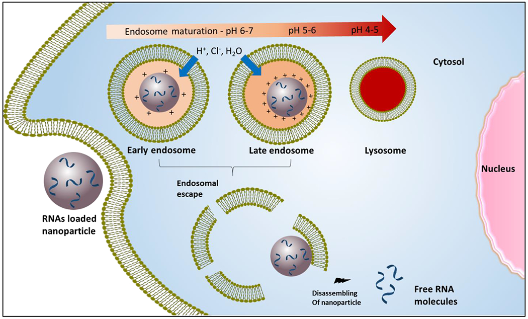 Figure 1: