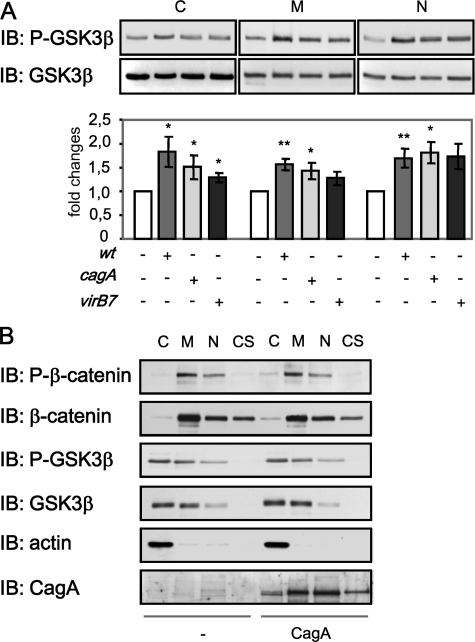 FIGURE 4.