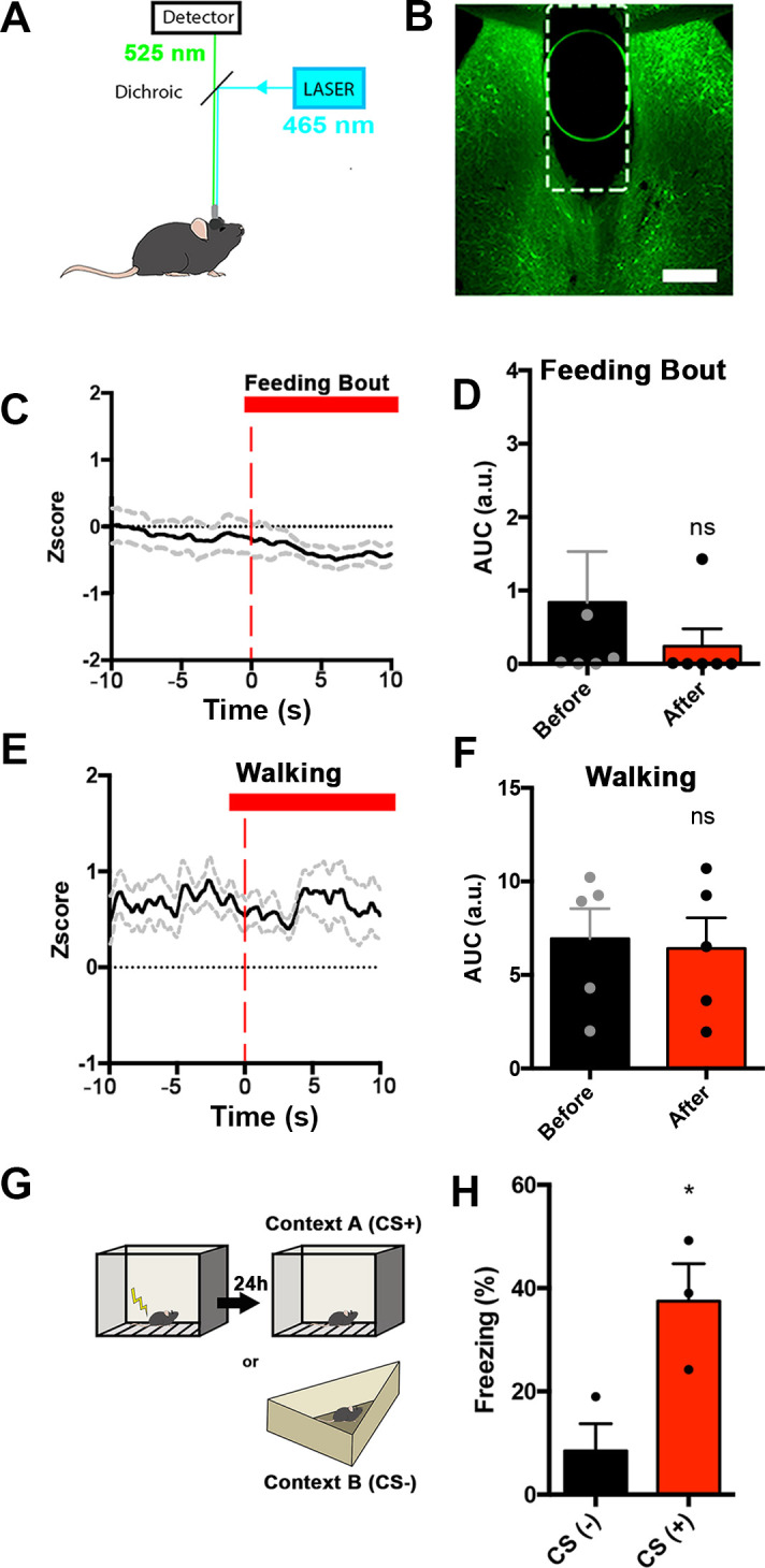 Figure 5—figure supplement 1.