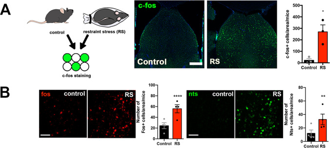 Figure 1—figure supplement 1.