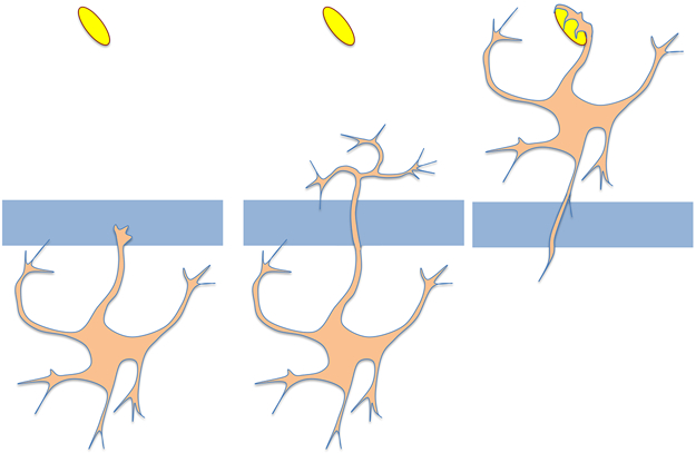 Figure 2.