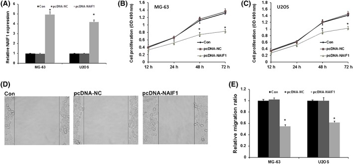 Figure 2