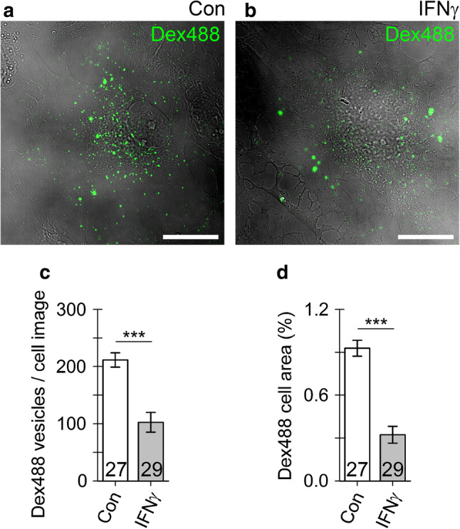 Fig. 9