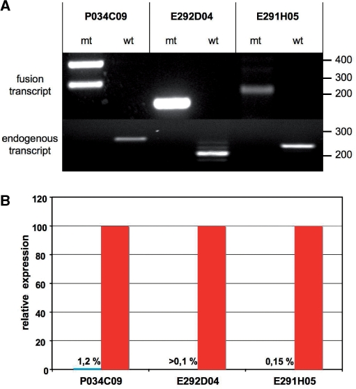 Figure 5.