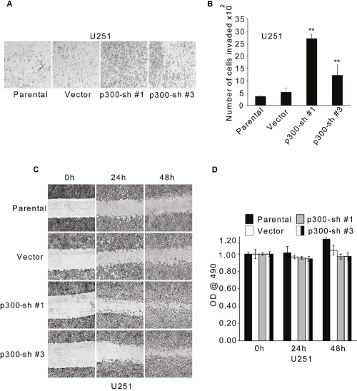 Figure 4: