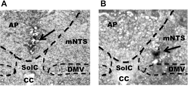 Fig. 7.