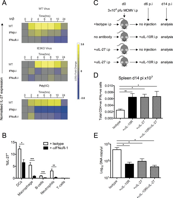 Fig 8