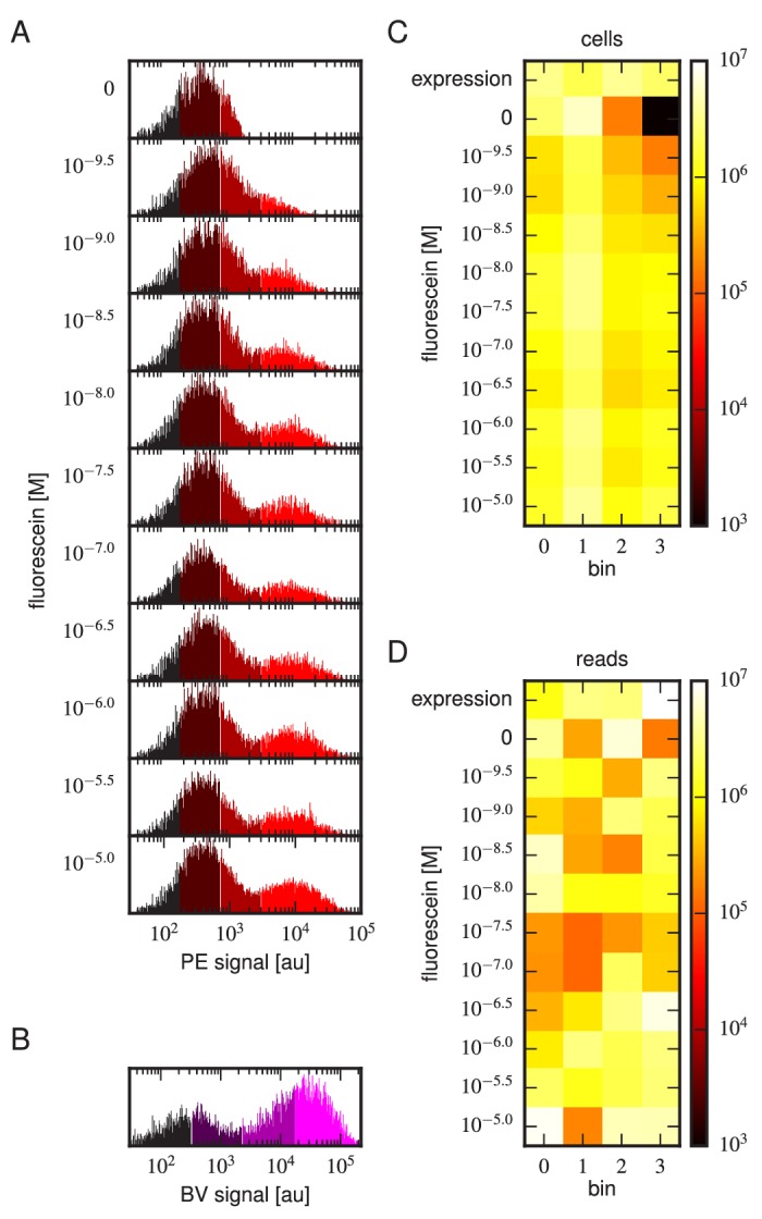 Figure 3—figure supplement 1.