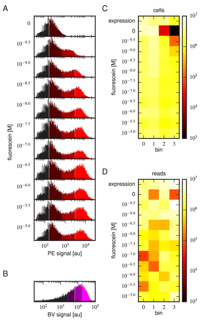 Figure 3—figure supplement 2.