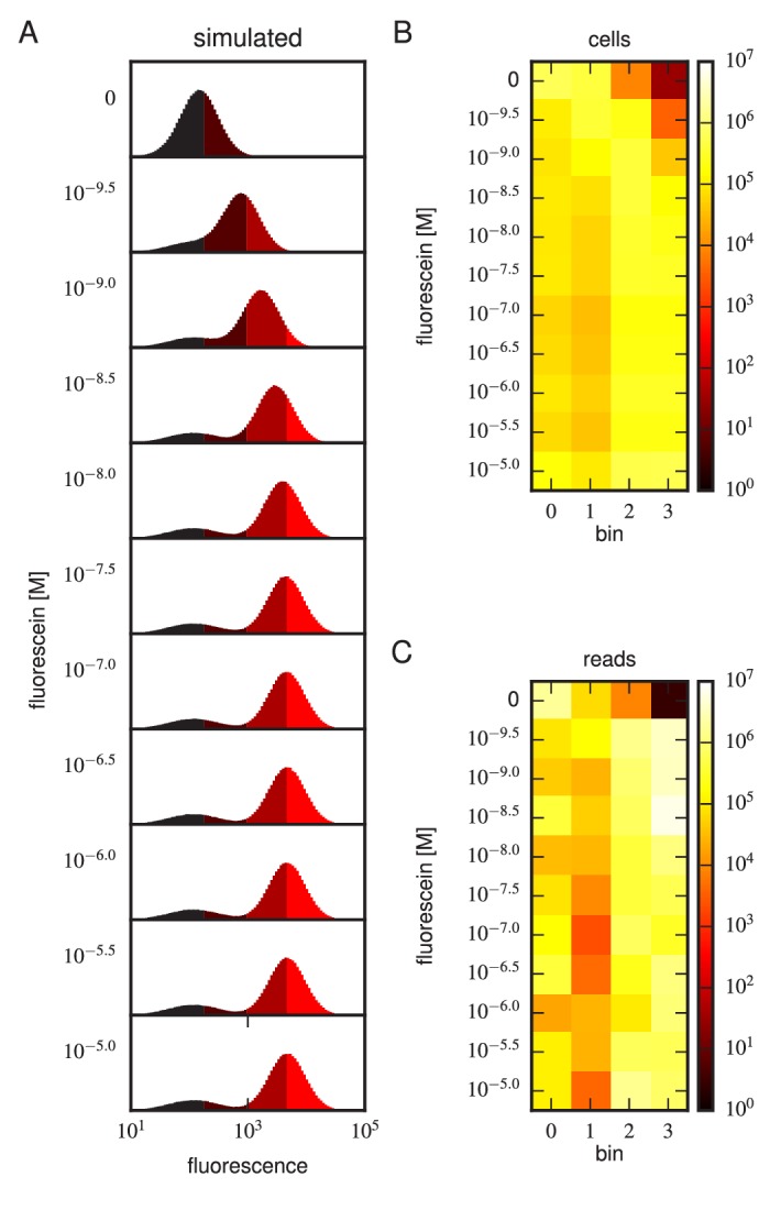 Figure 4—figure supplement 7.