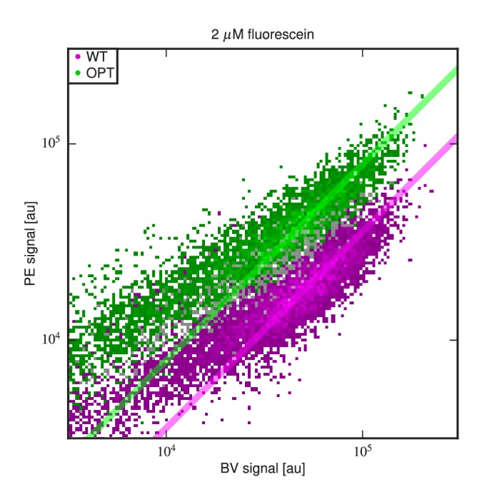 Figure 4—figure supplement 6.