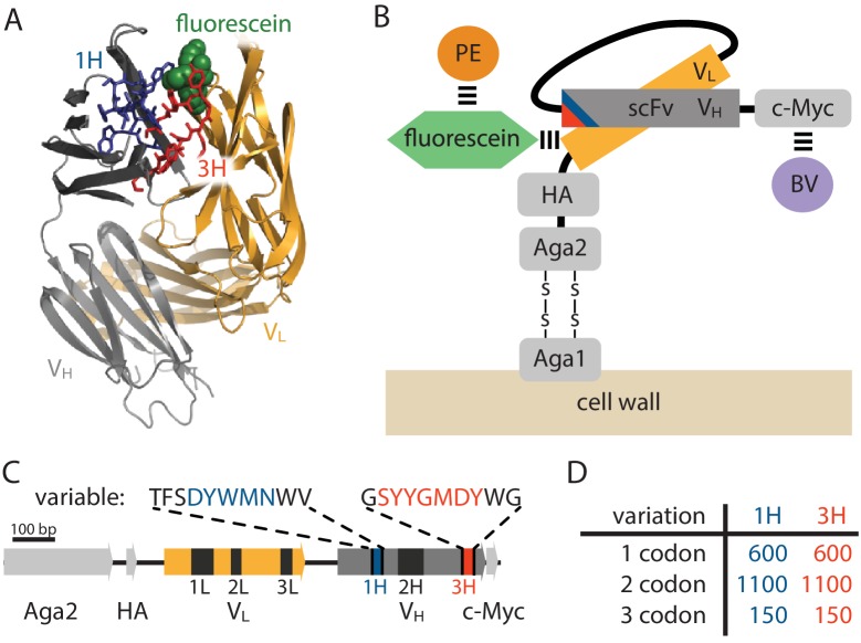 Figure 2.