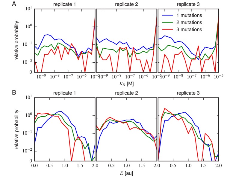 Figure 5—figure supplement 2.