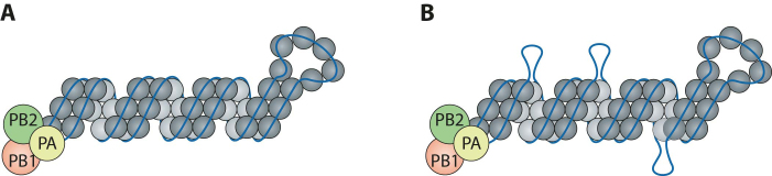 Figure 5.