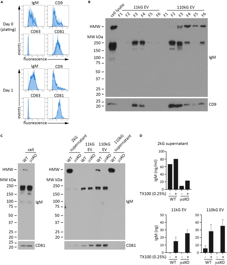 Figure 4