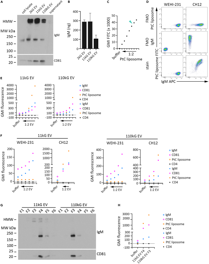 Figure 6