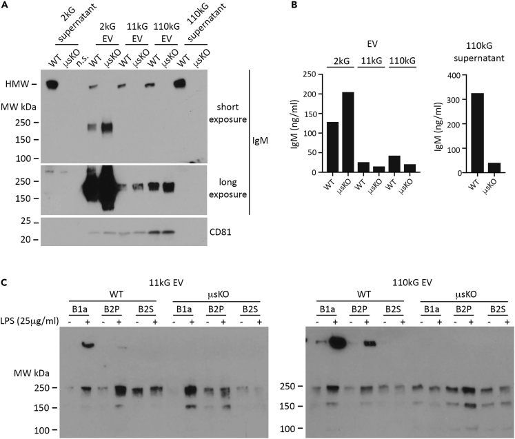 Figure 5