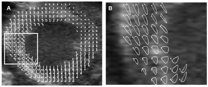 Fig. 9