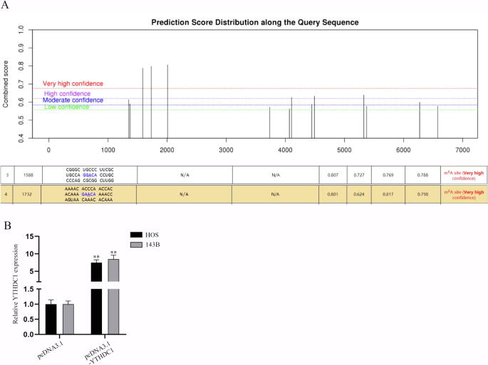 Supplementary Fig. 4