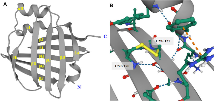 FIGURE 4