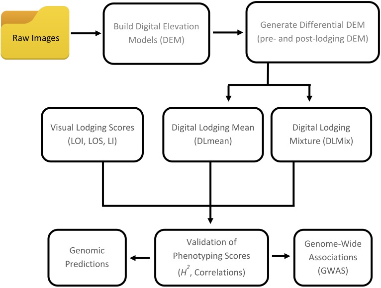 FIGURE 1