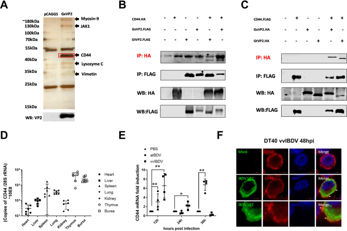 FIG 1