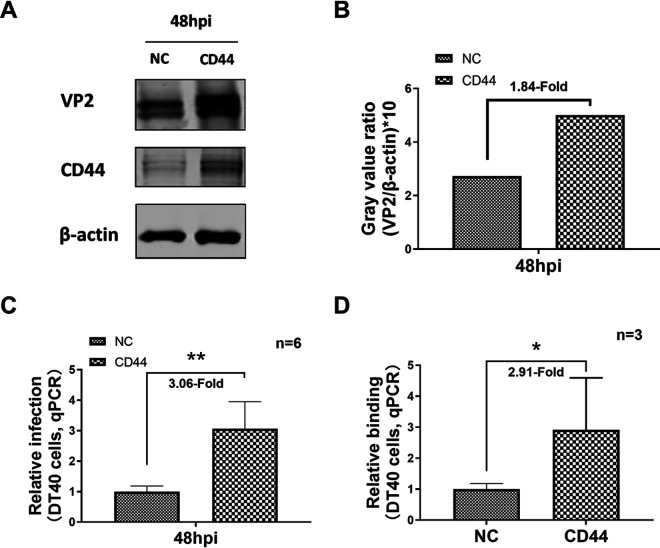 FIG 3