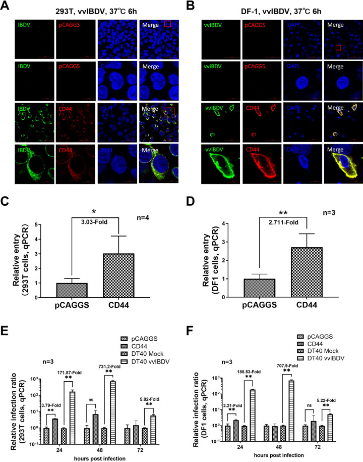 FIG 6