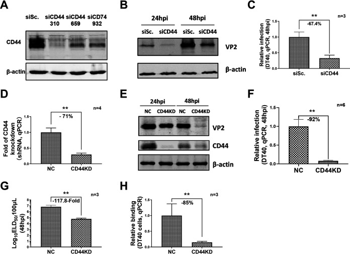 FIG 2