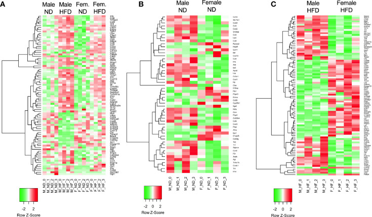 Figure 2