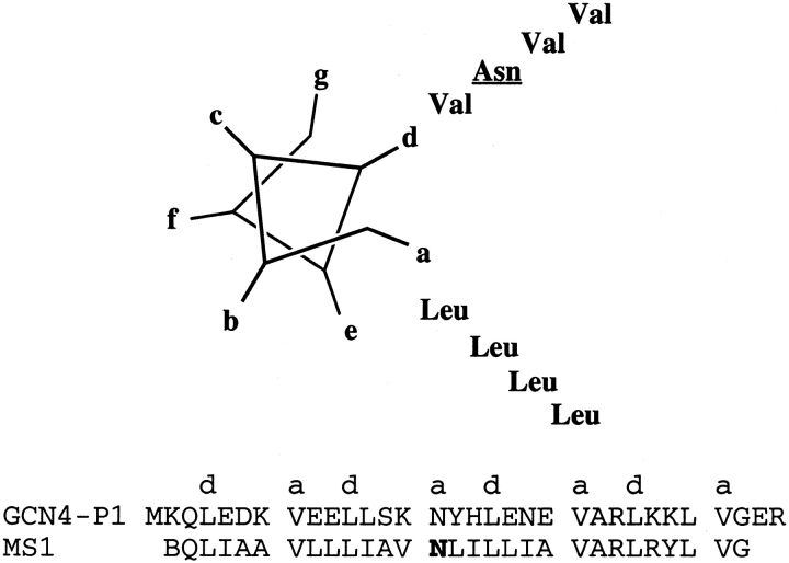 Figure 5.