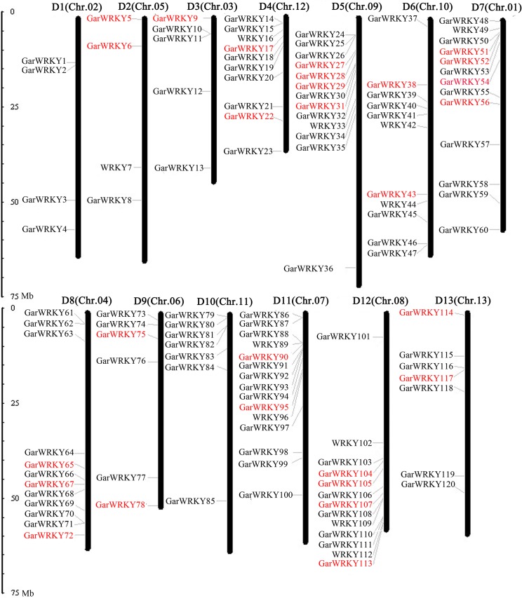 Fig 1