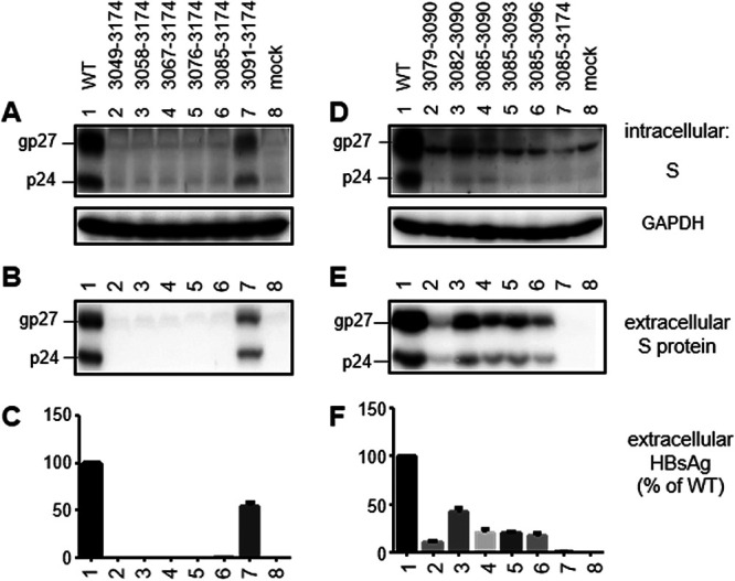 FIG 6