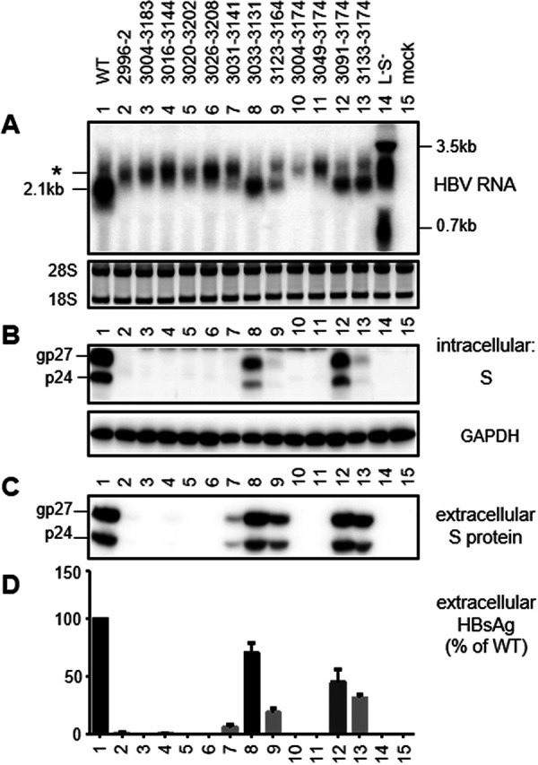 FIG 3