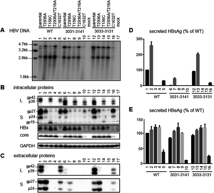 FIG 12