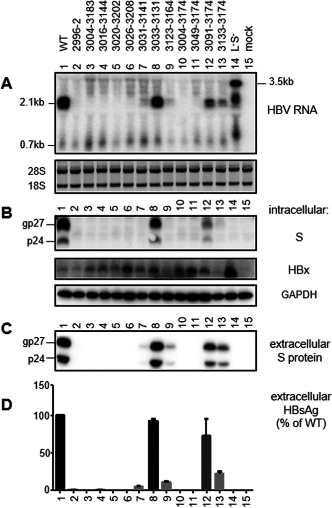 FIG 5