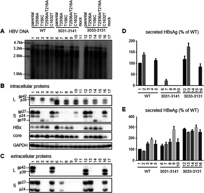 FIG 11