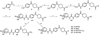 Scheme 2
