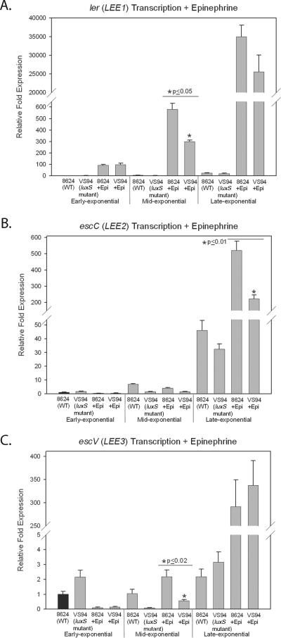 FIG. 4.