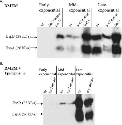 FIG. 5.