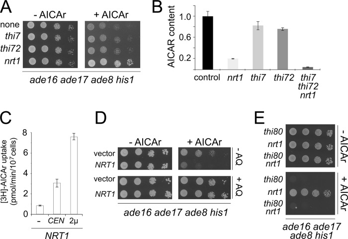 FIGURE 6.