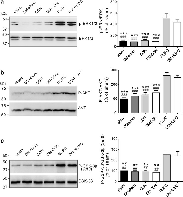 Fig. 7