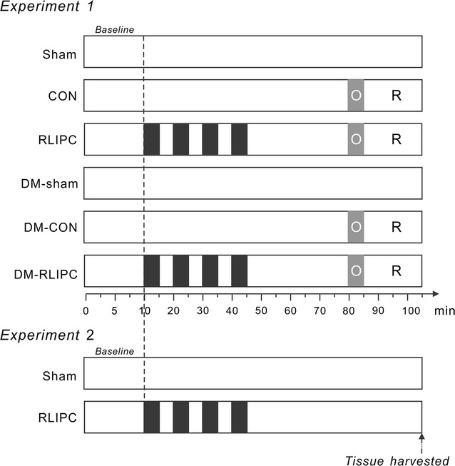 Fig. 1