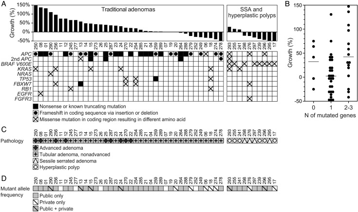 Figure 3