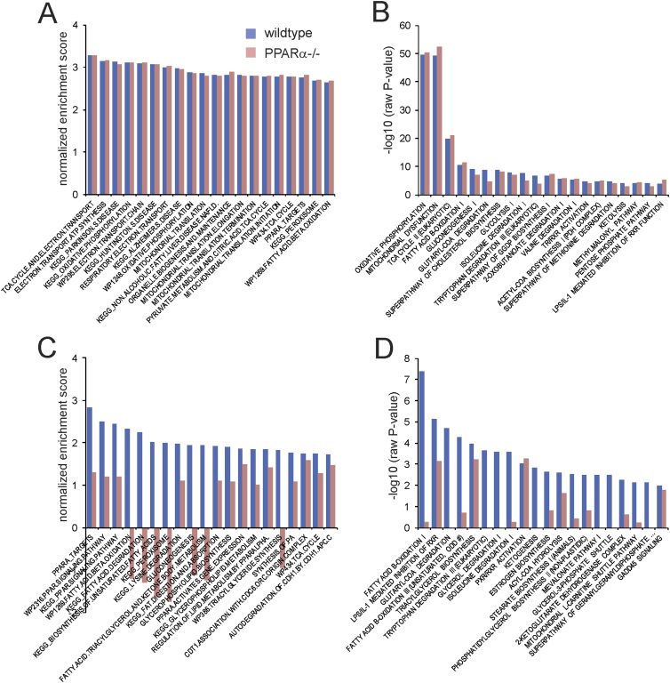 Figure 6