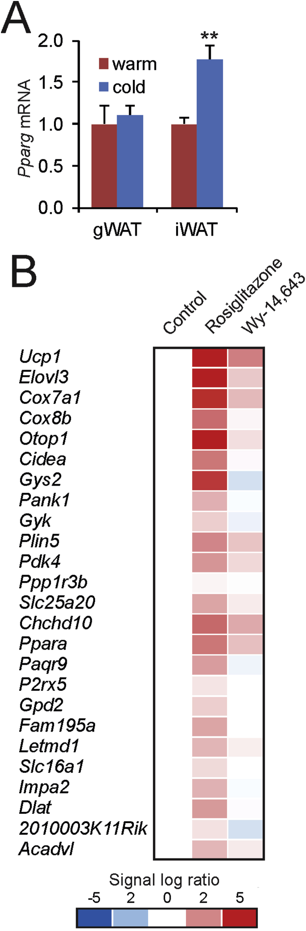 Figure 9